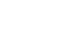 Bouygues Telecom