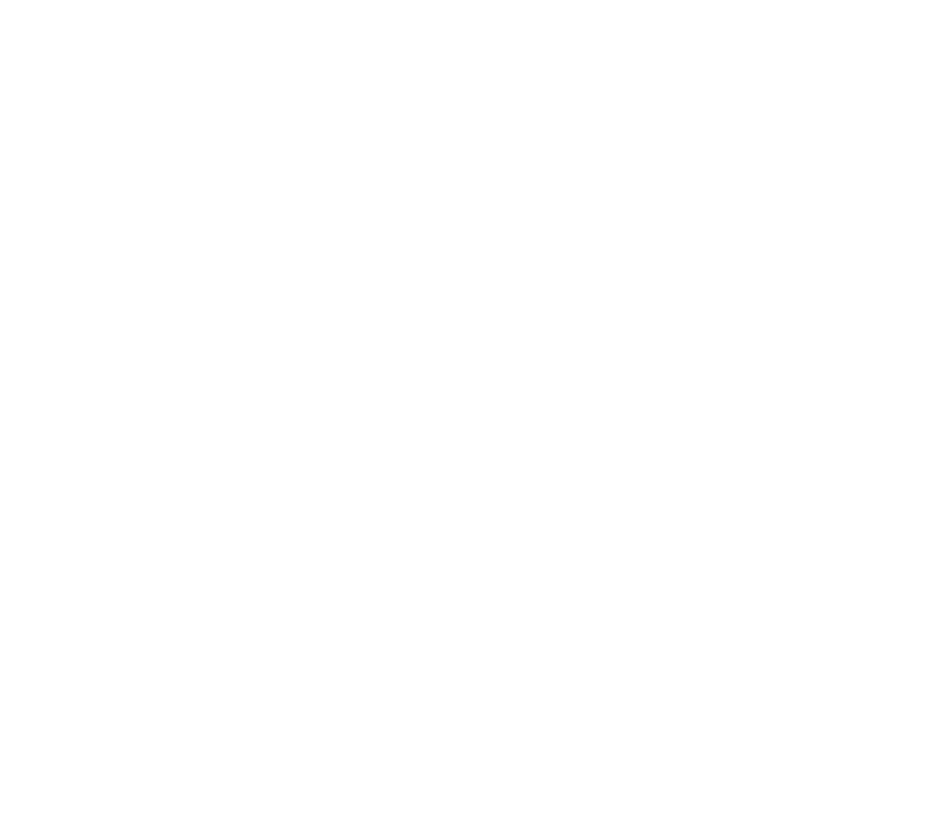 Bouygues Telecom